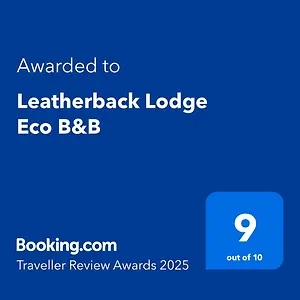  Lodge Leatherback Eco